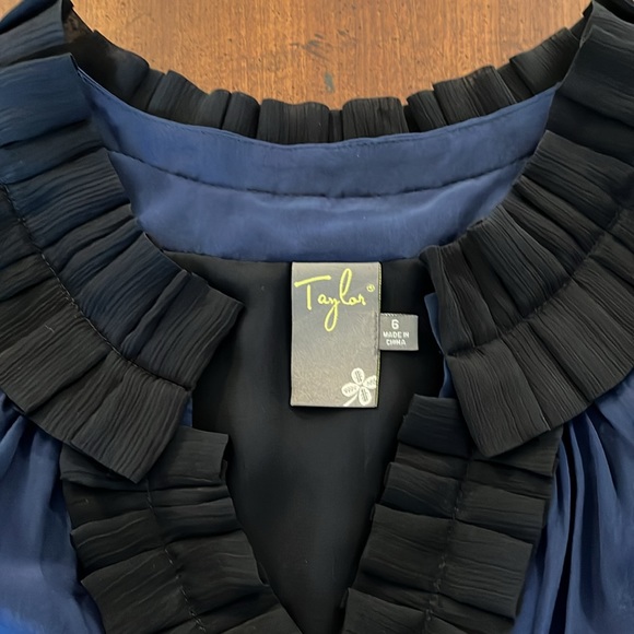 Taylor Dress with Silk Pleat Detail Size 6 - Picture 5 of 12